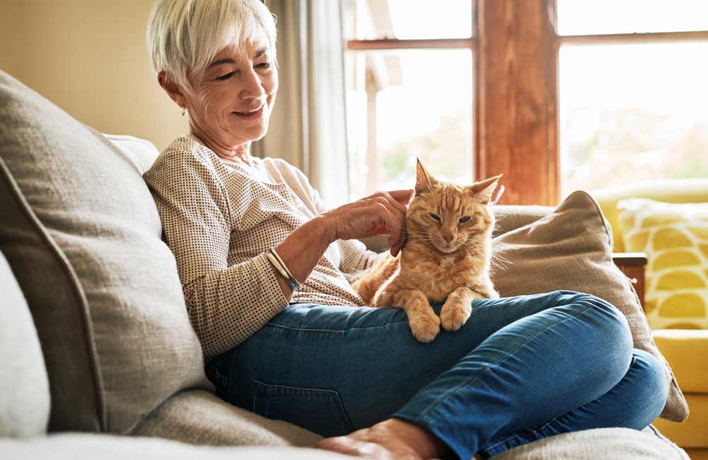 memory-care-floorplans Elderly woman petting a cat while sitting on a couch near a window, enjoying a sunny day.