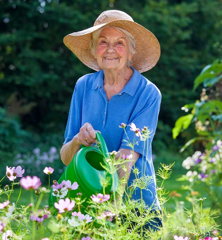 senior-gardening Elderly woman wearing hat and blue shirt watering flowers in a colorful garden.